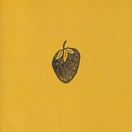 Djo - 🍳 The Crux 🧪 DIY Zine coupdemainshop