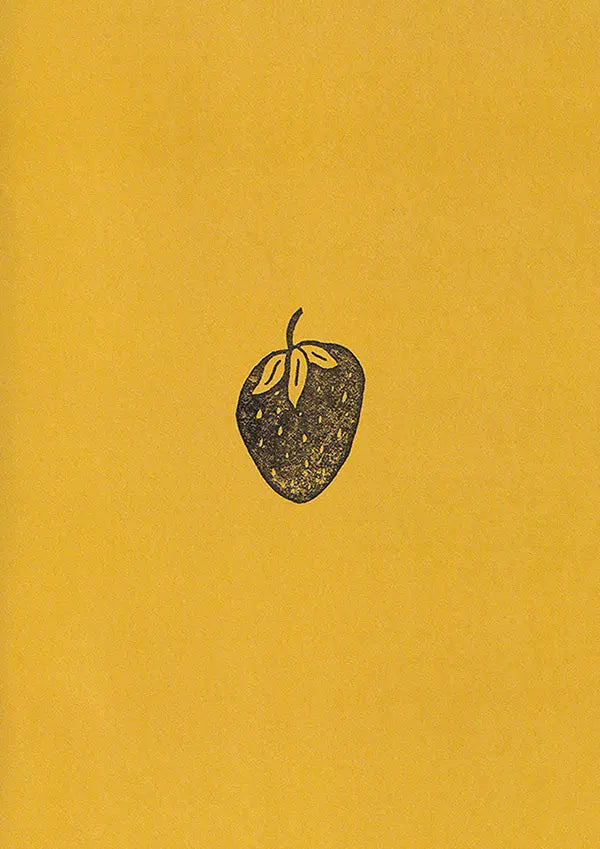 Djo - 🍳 The Crux 🧪 DIY Zine coupdemainshop